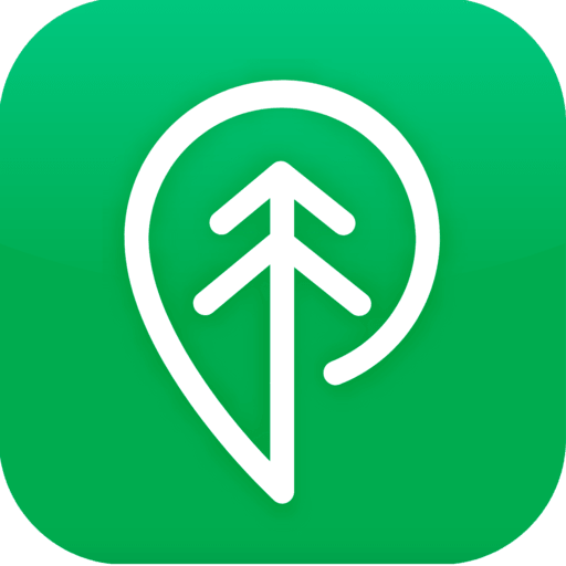 Treebal Divinenergy